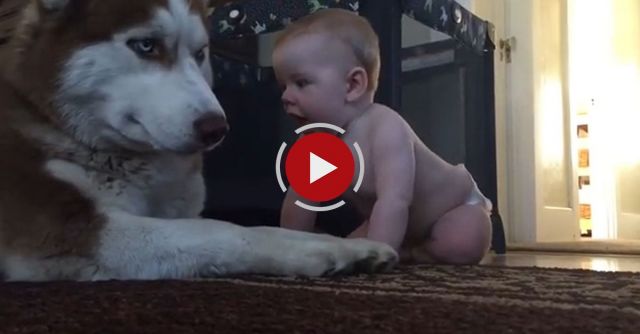 Baby And Dog Show Love For One Another