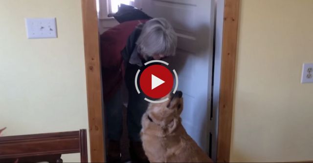 Dog Refuses To Kiss Her Owner