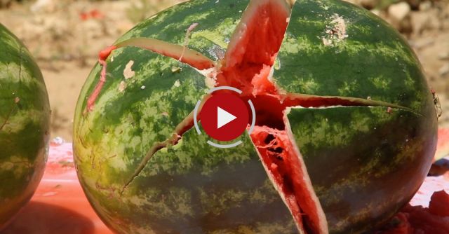 Catching A Bullet With A Watermelon