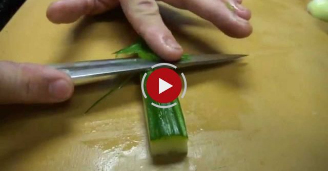 Fast Precise Cutting Skills Using One Of The World's Sharpest Knife