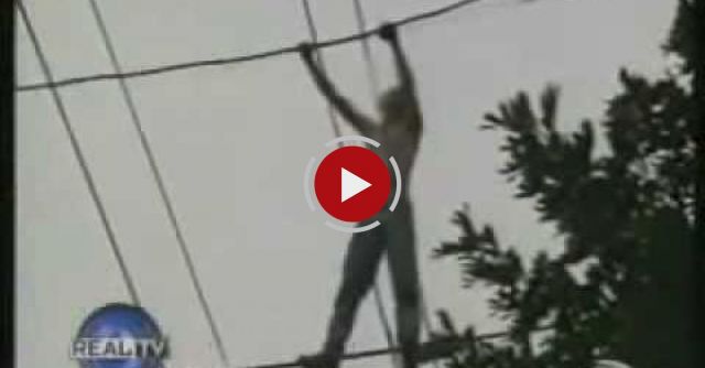 What NOT To Do On Power Lines