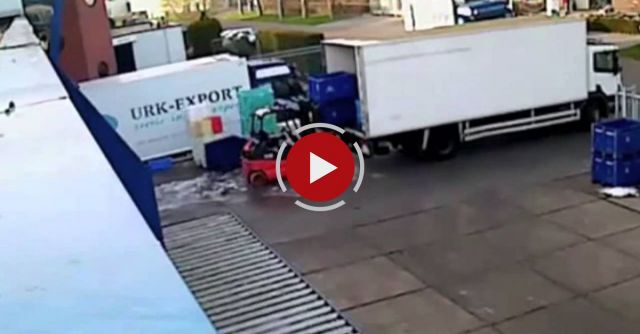 When Loading Up Fresh Fish Goes Wrong. Forklift Challenged