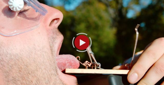 Tongue In A Mouse Trap - The Slow Mo Guys