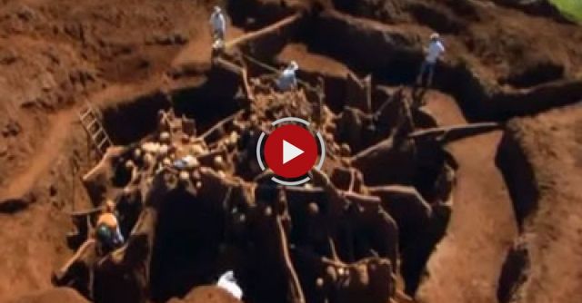 Giant Ant Hill Excavated