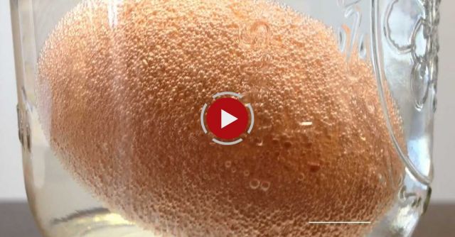 The Effects Of Mixing Vinegar With An Egg - Rubber Egg Experiment