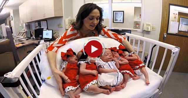 Seals Quintuplets Held By Mother For The First Time