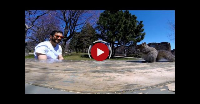 Picnic Interrupted By A Squirrel (squirrel Steals GoPro Session)