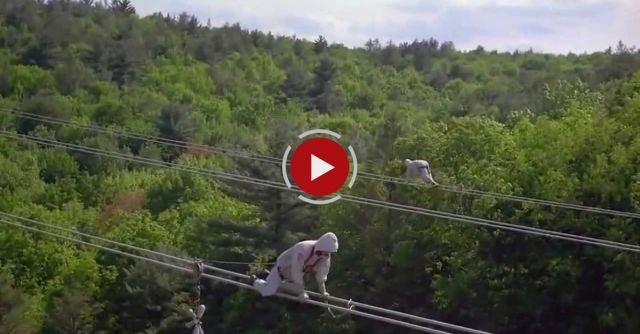 Extreme Jobs - High Voltage Power Line Inspection