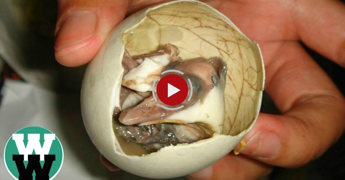 20 Disgusting Foods That People Actually Eat - Video Blog | Evadează