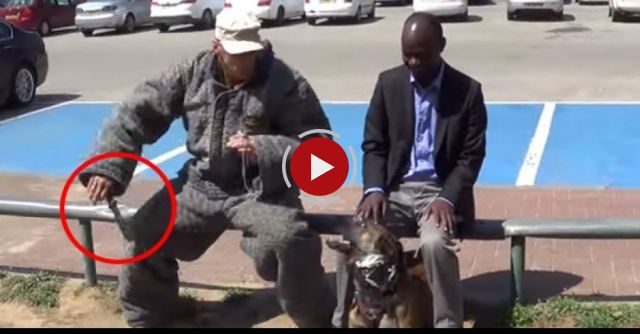 He Pulls Out A Knife To Attack This Man, But Watch How The Dog Responds