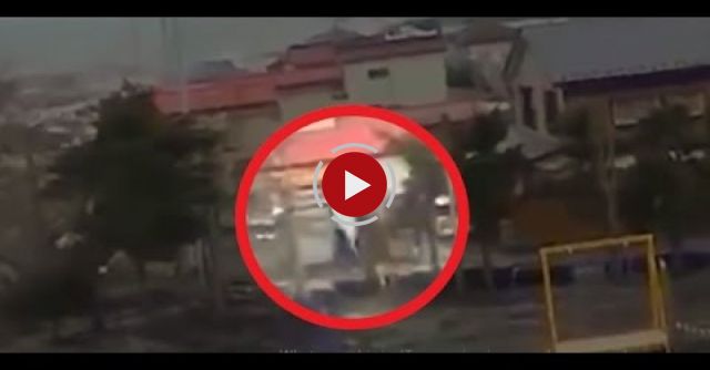 During Japan Tsunami A Strange Creature Was Caught On Camera - Real Footage