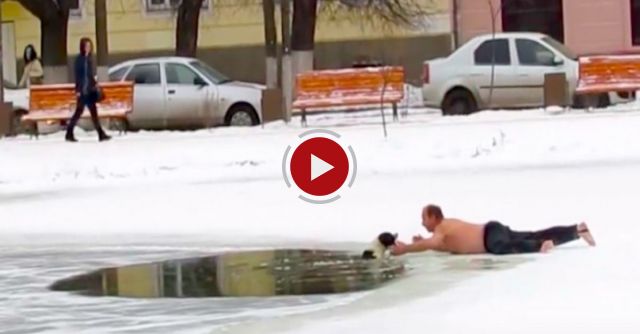 A Man Rescues A Dog From A Frozen Pond!