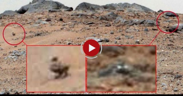 Discovery Of A Duck And 2nd Lizard On Mars, NASA Curiosity