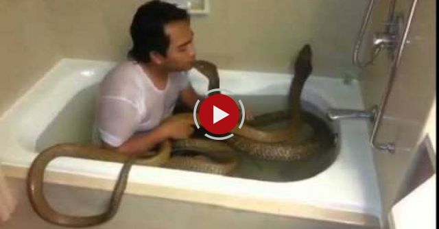 A Man Bath With Snakes