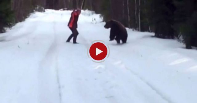 Man Was About To Be Attacked By Bear. What He Does Next Scared The Living Daylights Out Of The Bear.