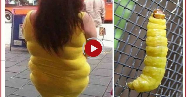 200 Pictures Funny Coincidence And Optical - Right Moment Pics Compilation - OOPs 2016