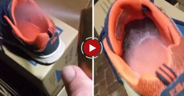 Dad Proves Why You Should NEVER Put On Shoes Before Checking Inside First….