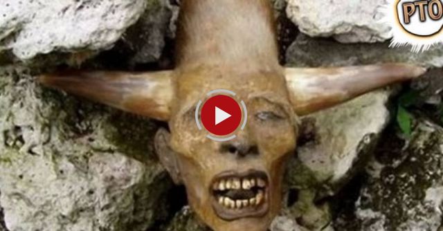 8 Weirdest Fossils Ever Discovered