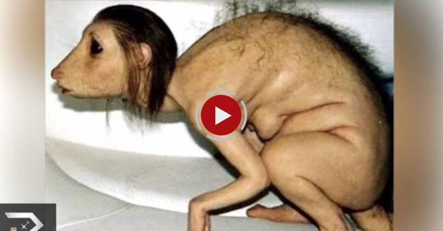 10 Most Shocking Real Mutations In Animals