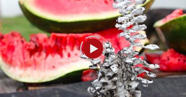 Pouring Molten Aluminum In A Watermelon. Awesome Surprise!