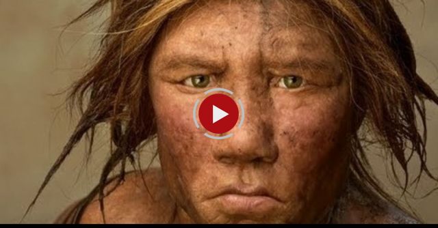 The Lives Of Early Humans