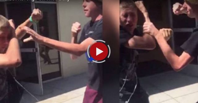 Kids Who Got Revenge On Their Bully