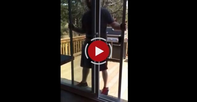 Man Vs. Screen Door