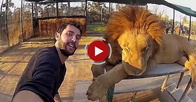 Around The World In 360° Degrees - 3 Year Epic Selfie