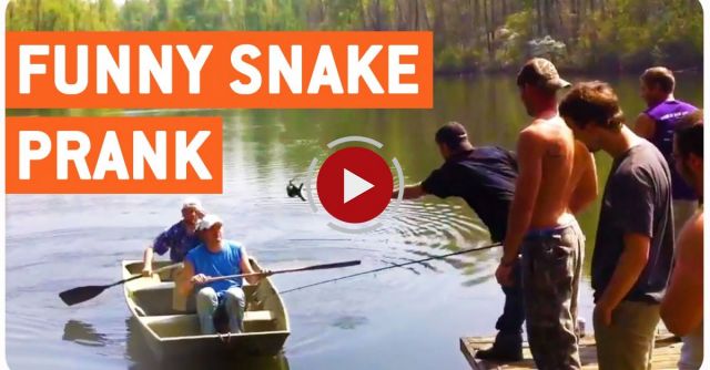 Funny Snake Prank 